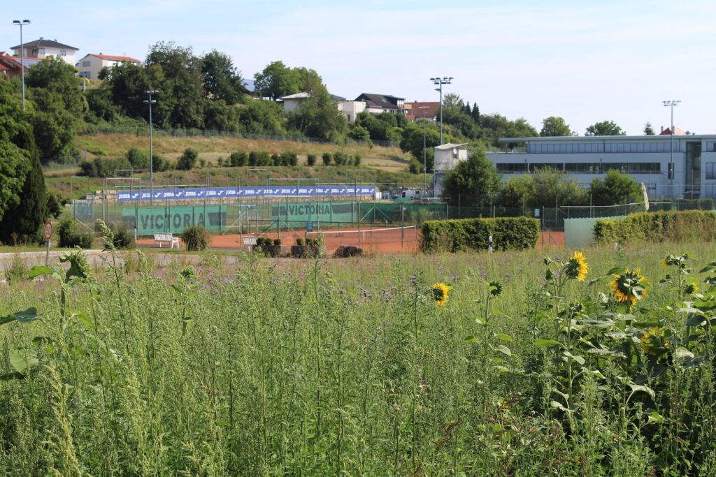 Die Anlage im Sommer